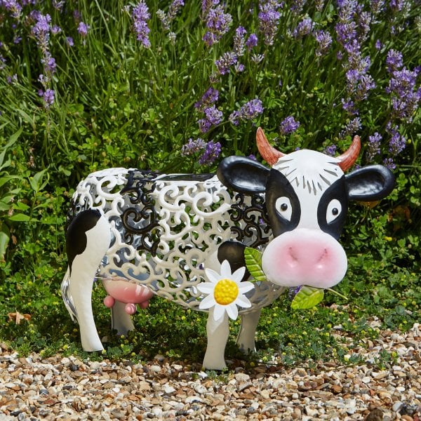 Solar Koe Daisy – 24 cm